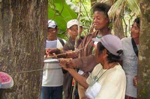 Dr. Kye Epps instructs Makushi field researchers on measuring trees for carbon estimation