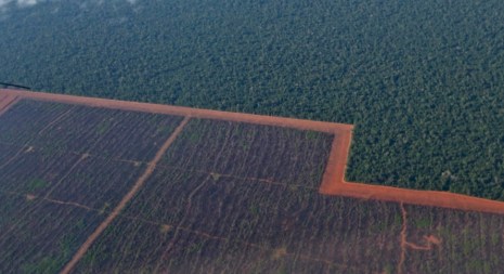 Agro-industrial soy bean farm adjacent to an indigenous area in Brazil