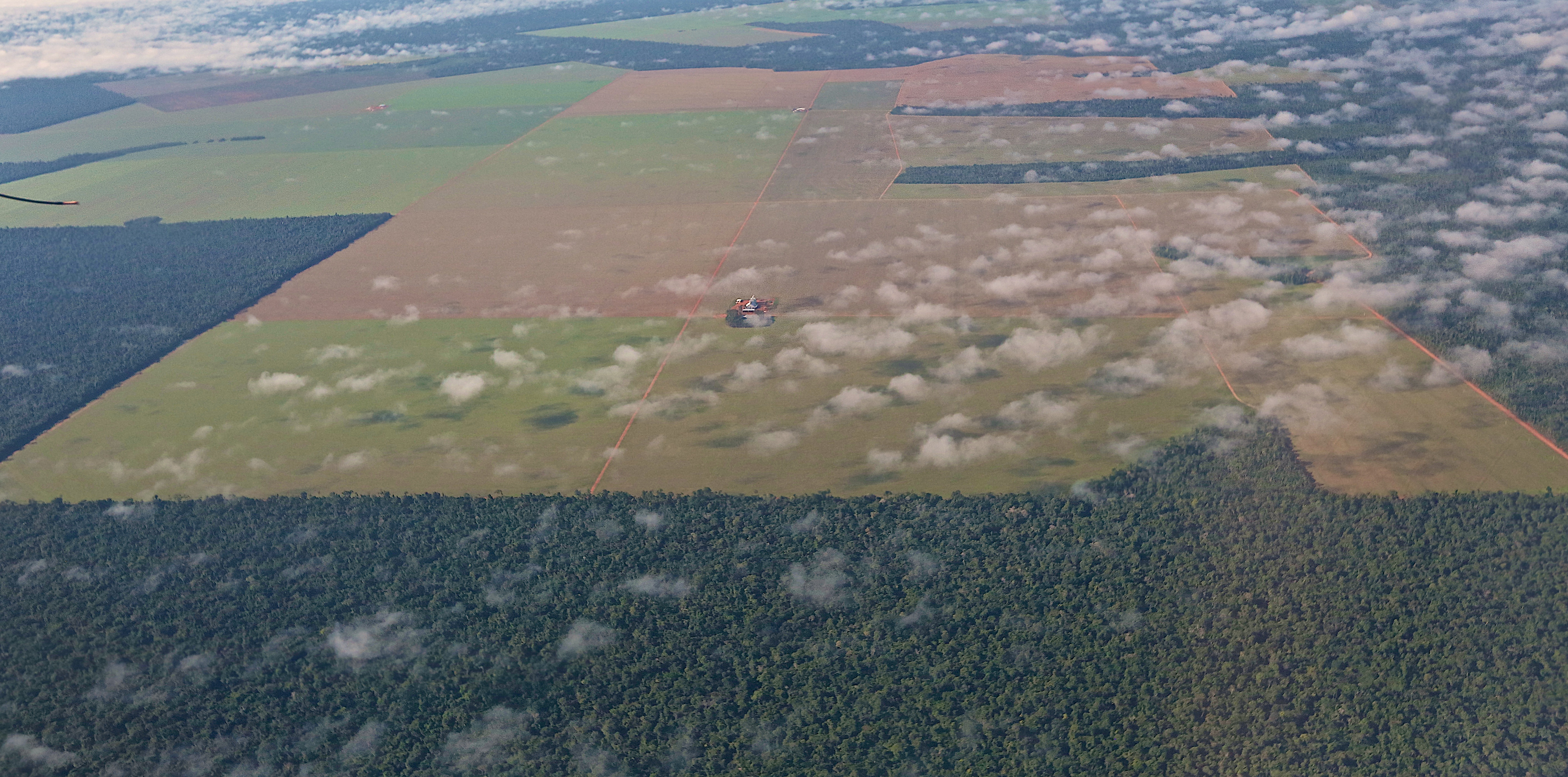 Large industrial soybean fields in midst of Cerradao forest